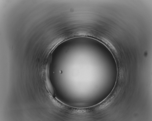 X0000090750801200707271444