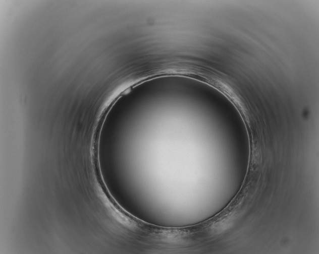 X0000090750803200707271444