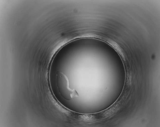 X0000090750805200707271444