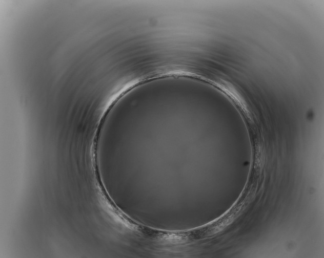 X0000090750806200707271444