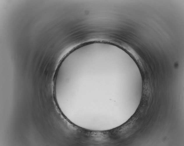 X0000090750807200707271444