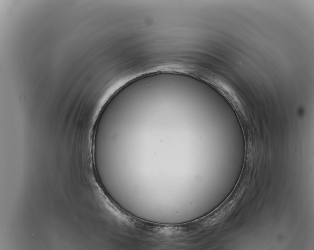 X0000090750808200707271444