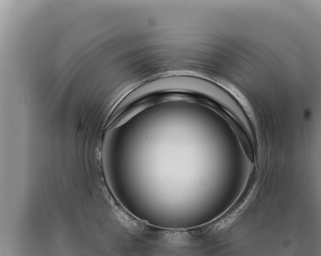 X0000090750809200707271444