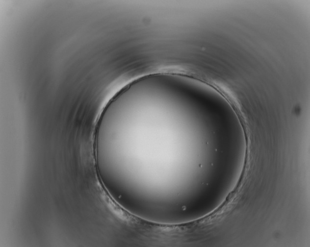 X0000090750816200707271444