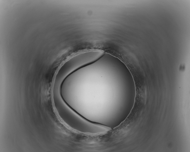 X0000090750818200707271443