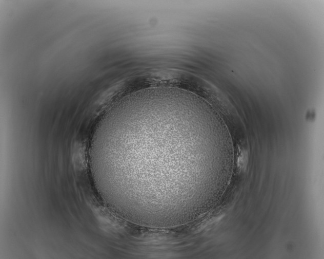 X0000090750819200707271443