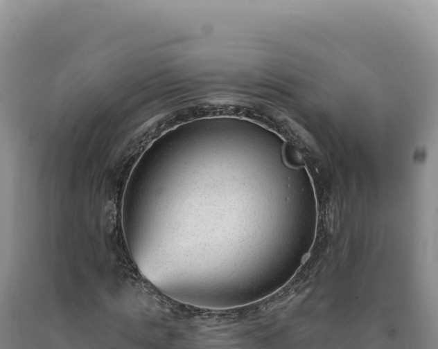X0000090750821200707271443