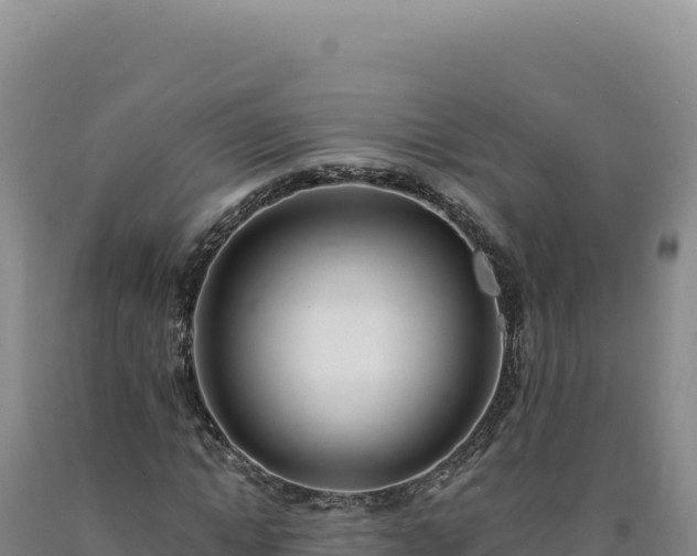 X0000090750822200707271443