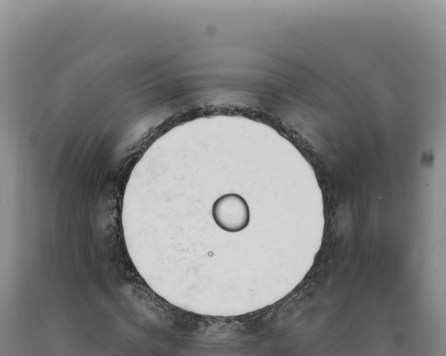 X0000090750824200707271443