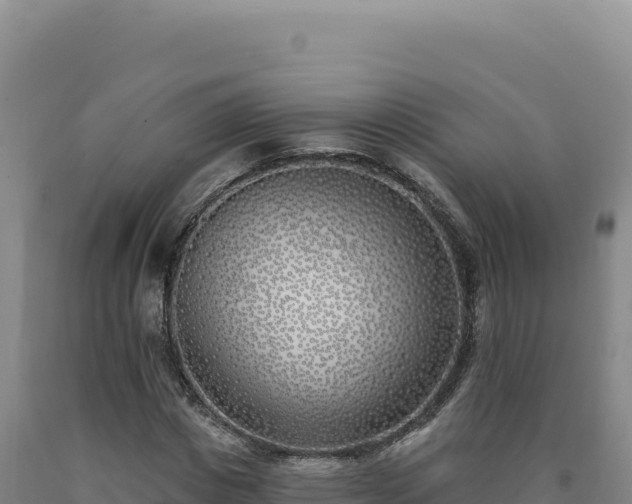 X0000090750825200707271443