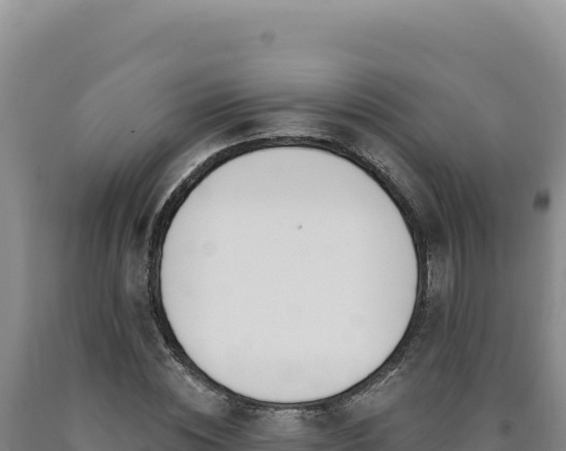 X0000090750828200707271443