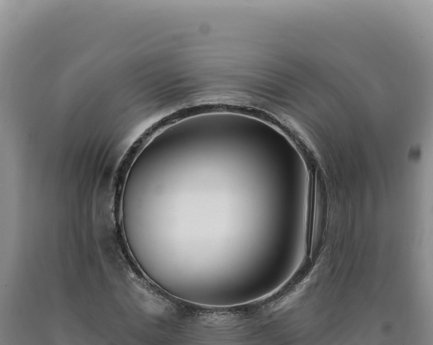 X0000090750830200707271443