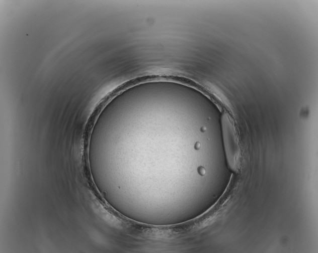 X0000090750831200707271443