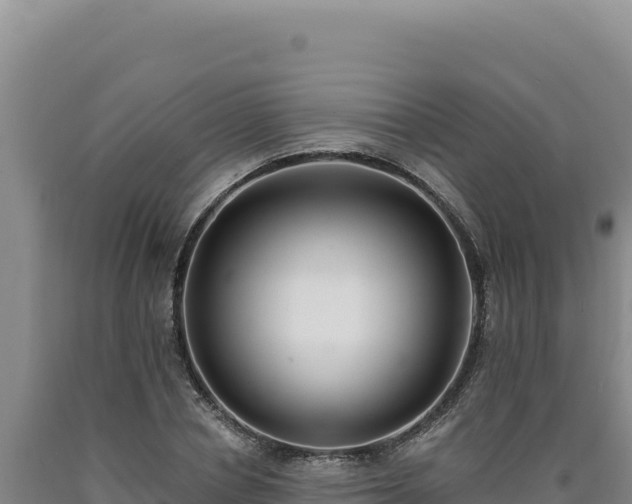 X0000090750834200707271443