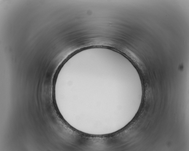 X0000090750836200707271443