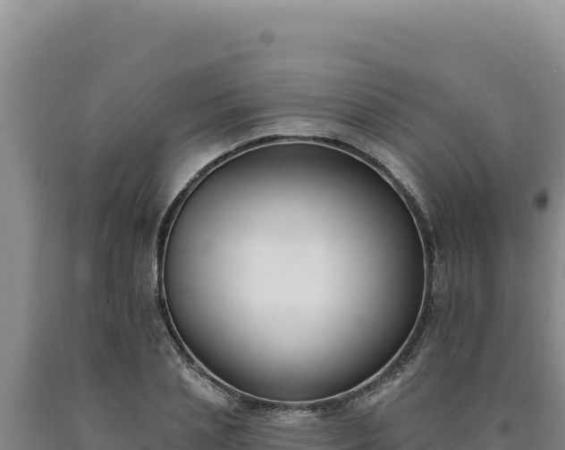 X0000090750837200707271443