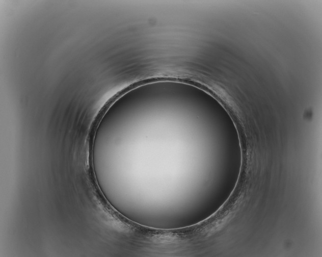 X0000090750838200707271443