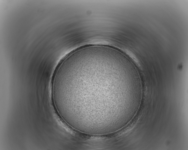 X0000090750840200707271443