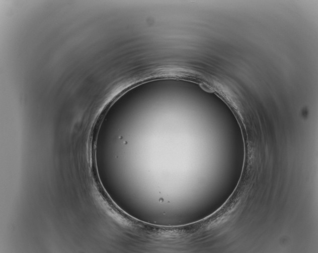 X0000090750843200707271443