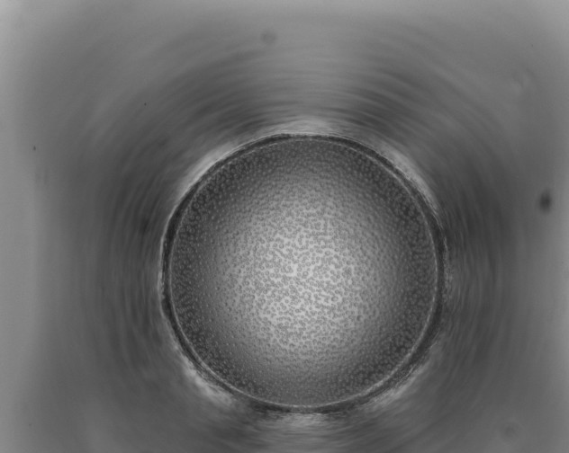 X0000090750845200707271443