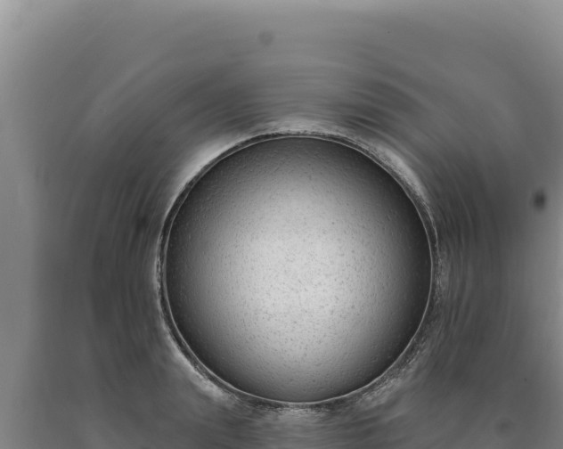 X0000090750847200707271443