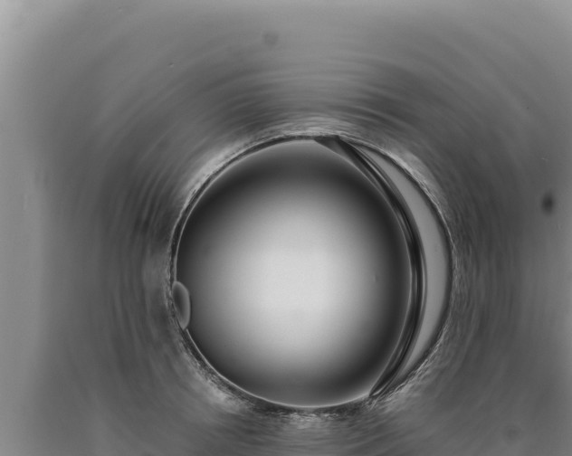 X0000090750850200707271443