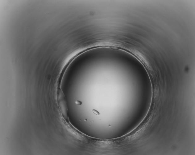 X0000090750854200707271444