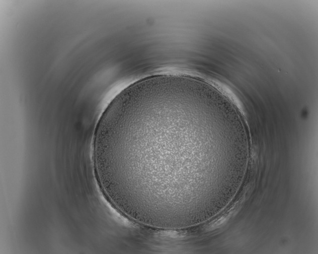 X0000090750855200707271444