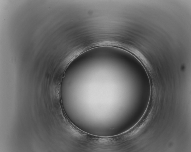 X0000090750857200707271444