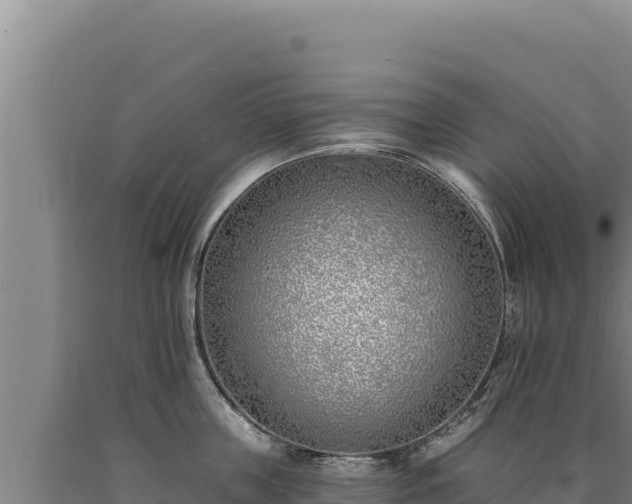 X0000090750859200707271444