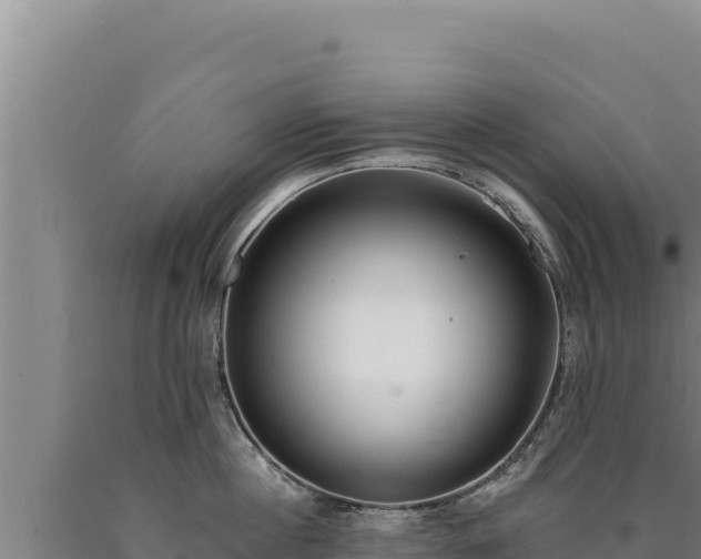 X0000090750860200707271444