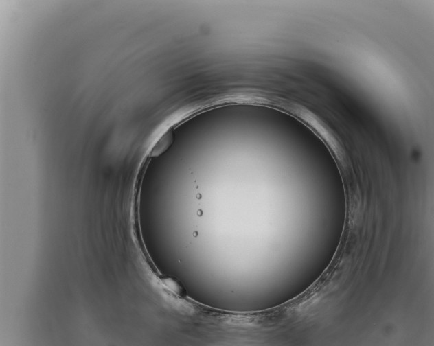 X0000090750861200707271444