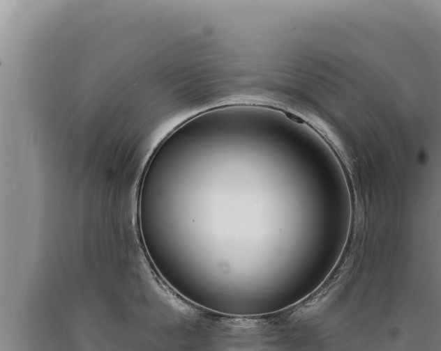 X0000090750862200707271444