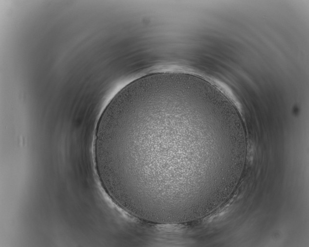 X0000090750863200707271444