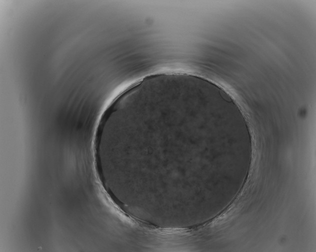 X0000090750864200707271444