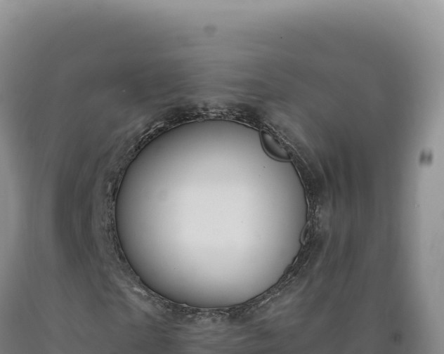 X0000090750865200707271443
