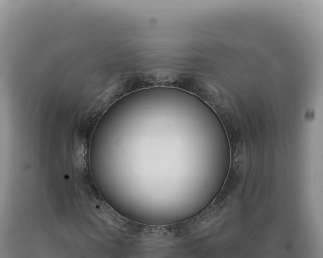 X0000090750866200707271443