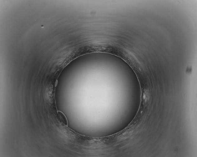 X0000090750867200707271443