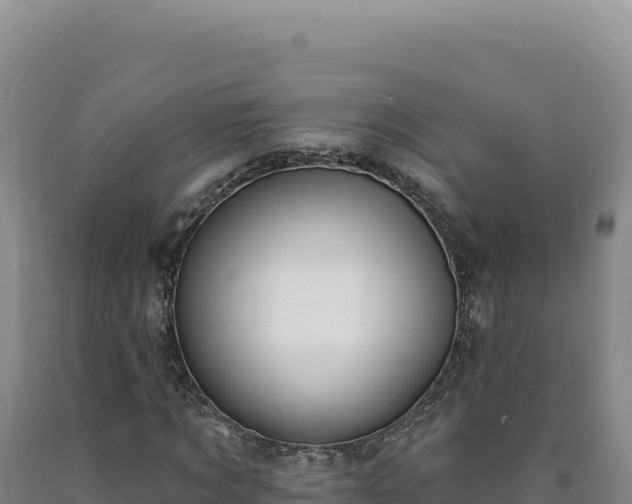 X0000090750869200707271443