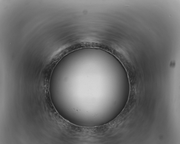 X0000090750870200707271443