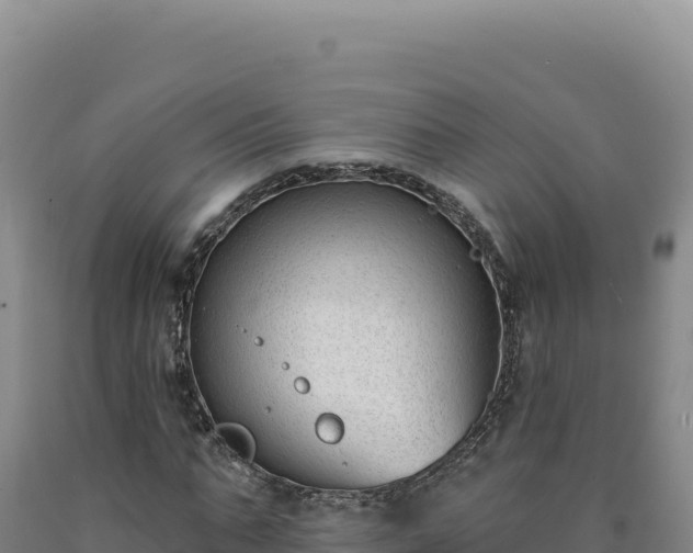 X0000090750871200707271443