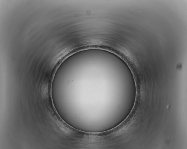 X0000090750873200707271443