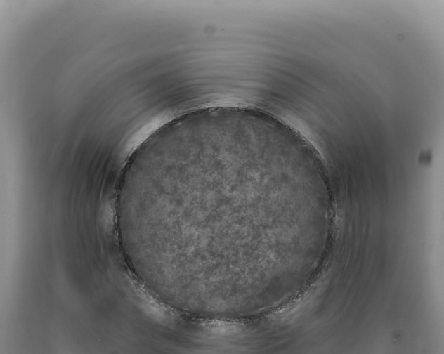 X0000090750874200707271443
