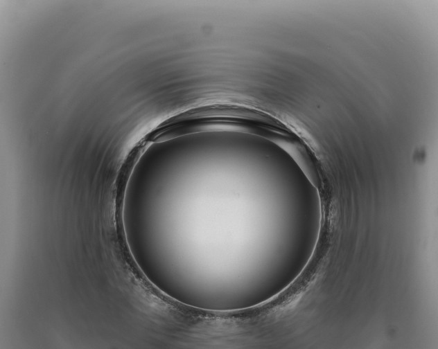 X0000090750877200707271443