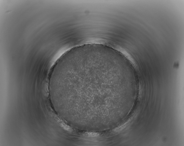 X0000090750878200707271443