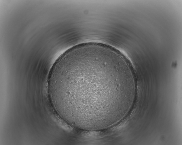 X0000090750879200707271443