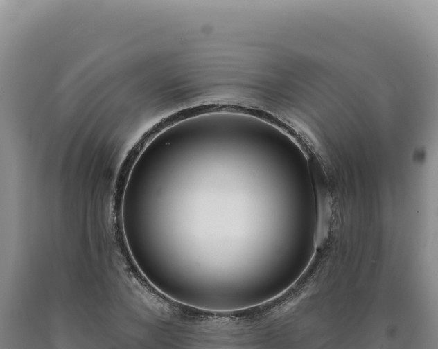 X0000090750880200707271443