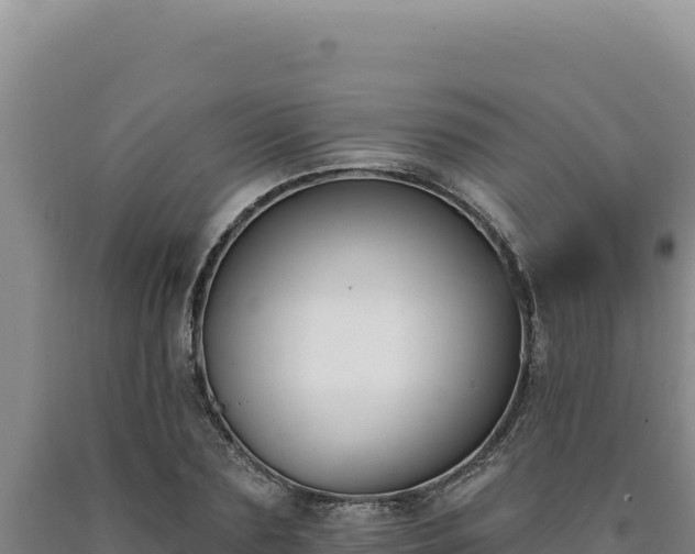 X0000090750883200707271443