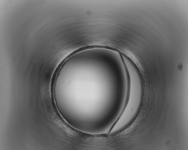 X0000090750884200707271443