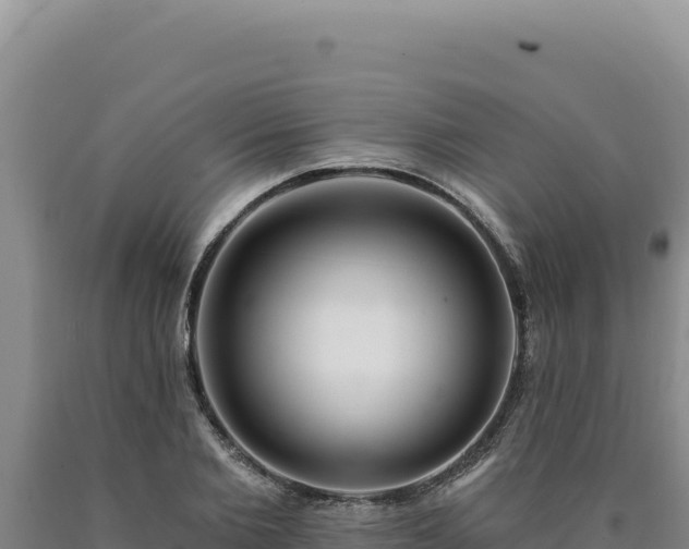X0000090750885200707271443